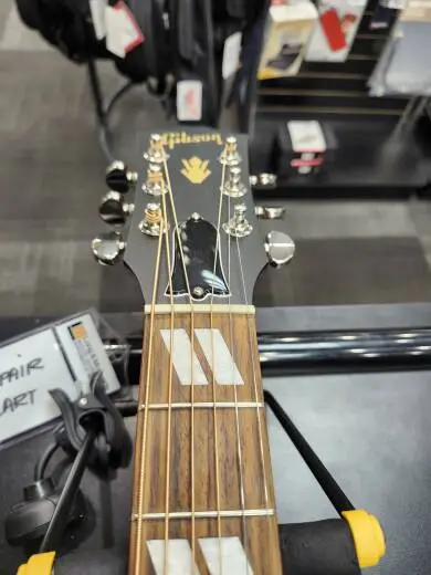 Gibson - MCSSHBSPCVCS 2
